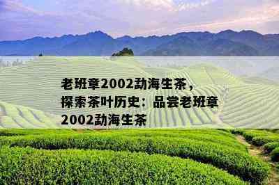 老班章2002勐海生茶，探索茶叶历史：品尝老班章2002勐海生茶