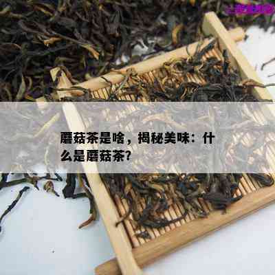 蘑菇茶是啥，揭秘美味：什么是蘑菇茶？