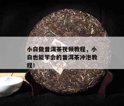 小白做普洱茶视频教程，小白也能学会的普洱茶冲泡教程！