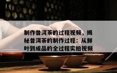 制作普洱茶的过程视频，揭秘普洱茶的制作过程：从鲜叶到成品的全过程实拍视频