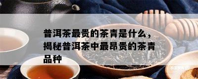 普洱茶最贵的茶青是什么，揭秘普洱茶中最昂贵的茶青品种