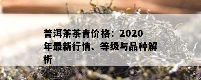 普洱茶茶青价格：2020年最新行情、等级与品种解析