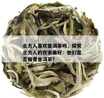 北方人喜欢普洱茶吗，探究北方人的饮茶偏好：他们是否偏爱普洱茶？