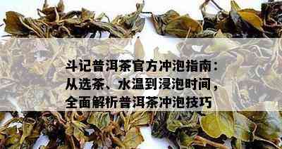 斗记普洱茶官方冲泡指南：从选茶、水温到浸泡时间，全面解析普洱茶冲泡技巧