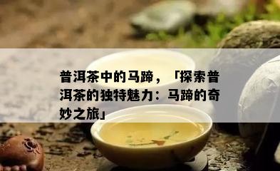 普洱茶中的马蹄，「探索普洱茶的特别魅力：马蹄的奇妙之旅」