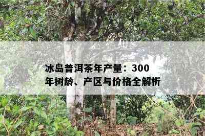 冰岛普洱茶年产量：300年树龄、产区与价格全解析