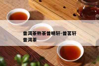 普洱茶熟茶普明轩-普茗轩普洱茶