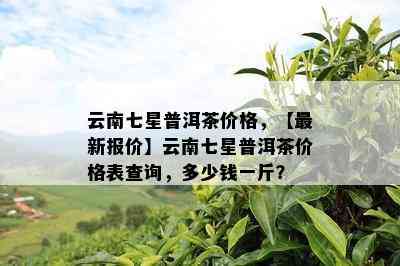 云南七星普洱茶价格，【最新报价】云南七星普洱茶价格表查询，多少钱一斤？