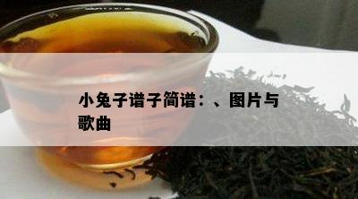 小兔子谱子简谱：、图片与歌曲