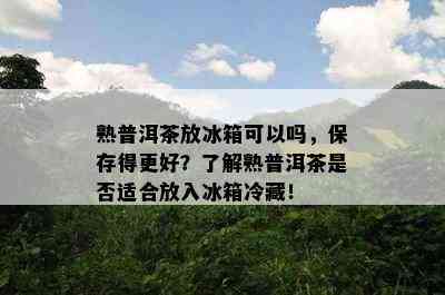 熟普洱茶放冰箱可以吗，保存得更好？熟悉熟普洱茶是不是适合放入冰箱冷藏！