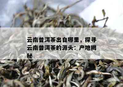 云南普洱茶出自哪里，探寻云南普洱茶的源头：产地揭秘