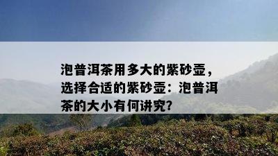 泡普洱茶用多大的紫砂壶，选择合适的紫砂壶：泡普洱茶的大小有何讲究？