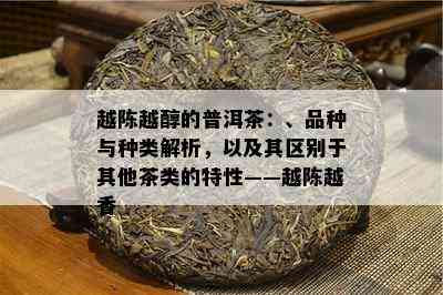 越陈越醇的普洱茶：、品种与种类解析，以及其区别于其他茶类的特性——越陈越香