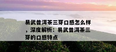 易武普洱茶三芽口感怎么样，深度解析：易武普洱茶三芽的口感特点