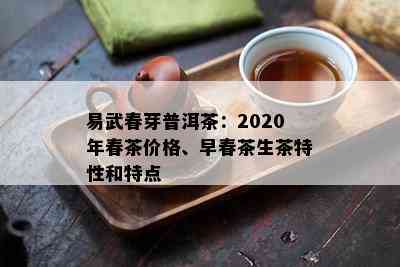 易武春芽普洱茶：2020年春茶价格、早春茶生茶特性和特点