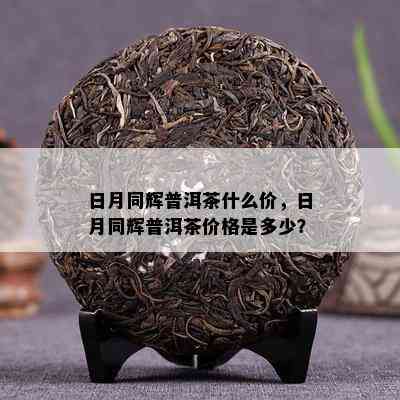 日月同辉普洱茶什么价，日月同辉普洱茶价格是多少？