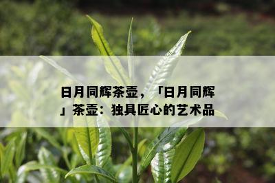 日月同辉茶壶，「日月同辉」茶壶：独具匠心的艺术品