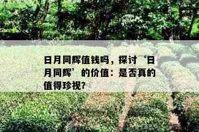 日月同辉值钱吗，探讨‘日月同辉’的价值：是不是真的值得珍视？