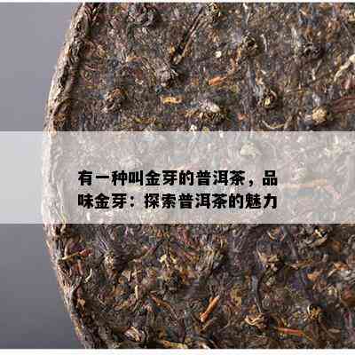 有一种叫金芽的普洱茶，品味金芽：探索普洱茶的魅力