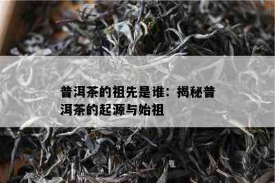 普洱茶的祖先是谁：揭秘普洱茶的起源与始祖