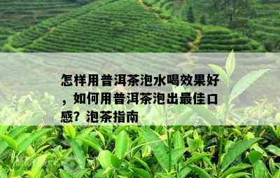 怎样用普洱茶泡水喝效果好，如何用普洱茶泡出更佳口感？泡茶指南