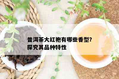 普洱茶大红袍有哪些香型？探究其品种特性