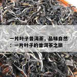 一片叶子普洱茶，品味自然：一片叶子的普洱茶之旅