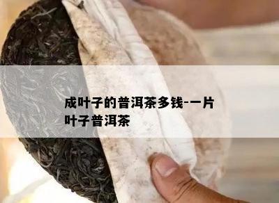 成叶子的普洱茶多钱-一片叶子普洱茶