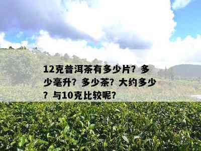 12克普洱茶有多少片？多少毫升？多少茶？大约多少？与10克比较呢？