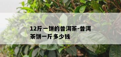 12斤一饼的普洱茶-普洱茶饼一斤多少钱