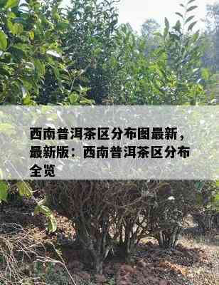 西南普洱茶区分布图最新，最新版：西南普洱茶区分布全览