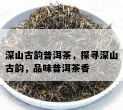 深山古韵普洱茶，探寻深山古韵，品味普洱茶香