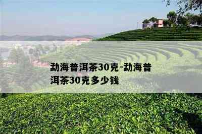 勐海普洱茶30克-勐海普洱茶30克多少钱