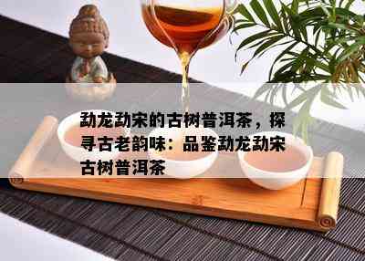 勐龙勐宋的古树普洱茶，探寻古老韵味：品鉴勐龙勐宋古树普洱茶