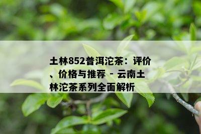 土林852普洱沱茶：评价、价格与推荐 - 云南土林沱茶系列全面解析