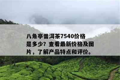 八角亭普洱茶7540价格是多少？查看最新价格及图片，熟悉产品特点和评价。