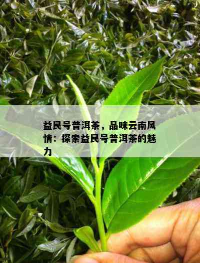 益民号普洱茶，品味云南风情：探索益民号普洱茶的魅力