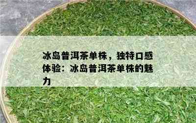 冰岛普洱茶单株，特别口感体验：冰岛普洱茶单株的魅力