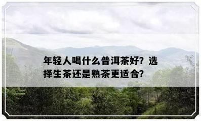 年轻人喝什么普洱茶好？选择生茶还是熟茶更适合？