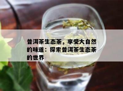 普洱茶生态茶，享受大自然的味道：探索普洱茶生态茶的世界