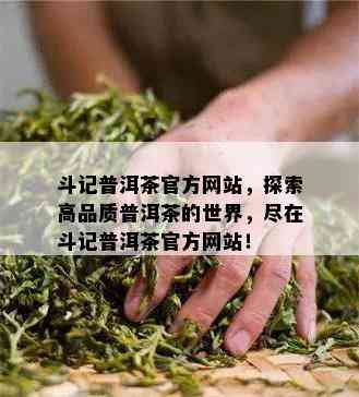 斗记普洱茶官方网站，探索高品质普洱茶的世界，尽在斗记普洱茶官方网站！