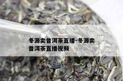 冬源卖普洱茶直播-冬源卖普洱茶直播视频