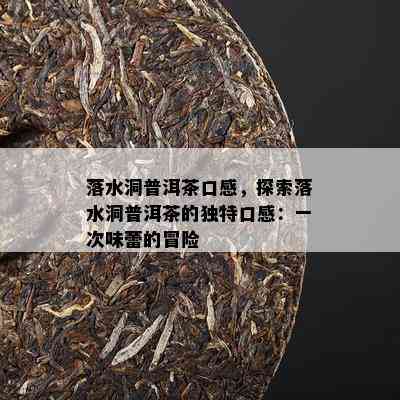 落水洞普洱茶口感，探索落水洞普洱茶的特别口感：一次味蕾的冒险