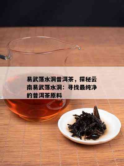 易武落水洞普洱茶，探秘云南易武落水洞：寻找最纯净的普洱茶原料