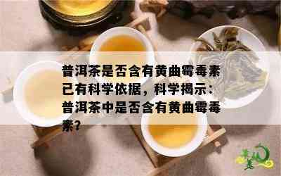 普洱茶是不是含有黄曲霉素已有科学依据，科学揭示：普洱茶中是不是含有黄曲霉素？