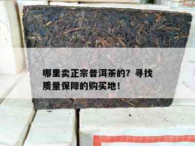 哪里卖正宗普洱茶的？寻找质量保障的购买地！