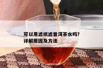 可以用滤纸滤普洱茶水吗？详解原因及方法