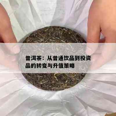 普洱茶：从普通饮品到投资品的转变与升值策略