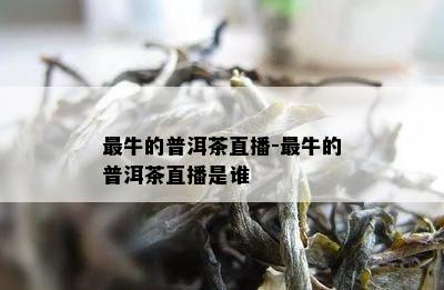 最牛的普洱茶直播-最牛的普洱茶直播是谁