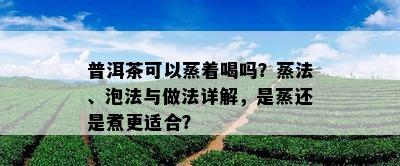 普洱茶可以蒸着喝吗？蒸法、泡法与做法详解，是蒸还是煮更适合？